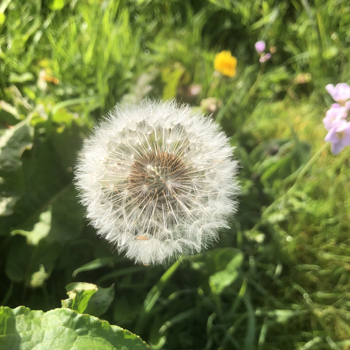 Make this #EarthDay2024 the start of your business journey to #NaturePositive - join the Business For Biodiversity Platform today #BizBioIrl 🐸🌳🌿🌱Find out more: businessforbiodiversity.ie