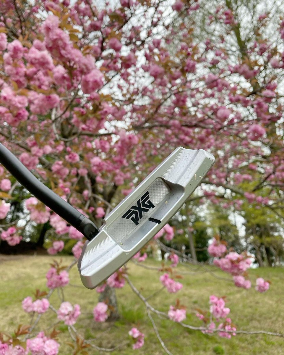 Give your short game a spring cleaning by adding a #PXG Battle Ready II Putter to your golf bag: pxg.golf/4cVidIR 🌸 🌸 #PXGUK #GolfCommuniity 📸: Masa