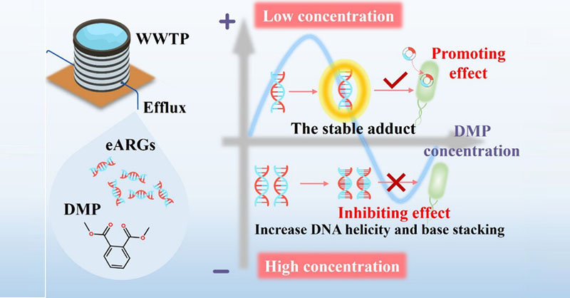 EnvSciTech's tweet image. In this ES&amp;amp;T article, scientists investigated the impacts of #Phthalate esters (PAEs) on eARG transformation among the aquatic environmental #microbialcommunity and elucidated the underlying regulatory mechanisms.

Read more here 👉 go.acs.org/91Q