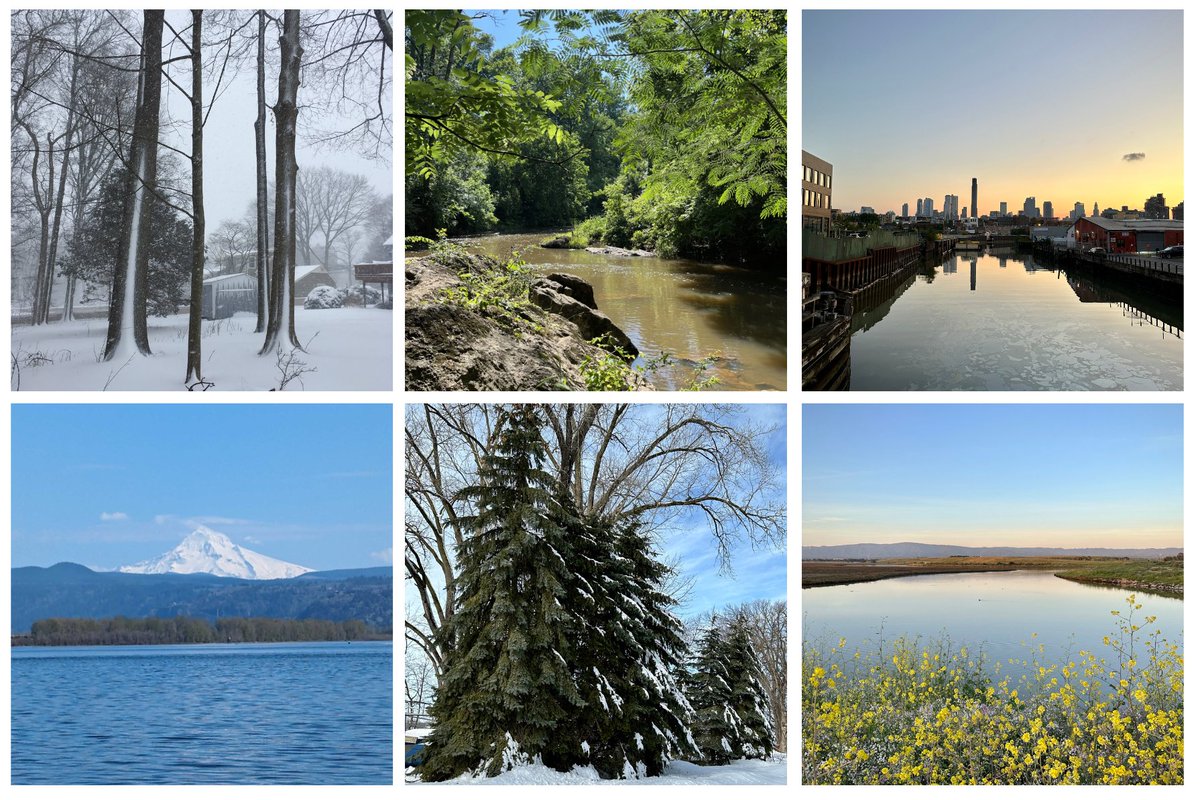 This #EarthDay, #StanDOM is proud to spotlight our bicoastal teams & the diverse landscapes they cherish. From coast to coast, our staff is dedicated to preserving the natural beauty of their hometowns. What places are close to your heart? Comment below and let us know!