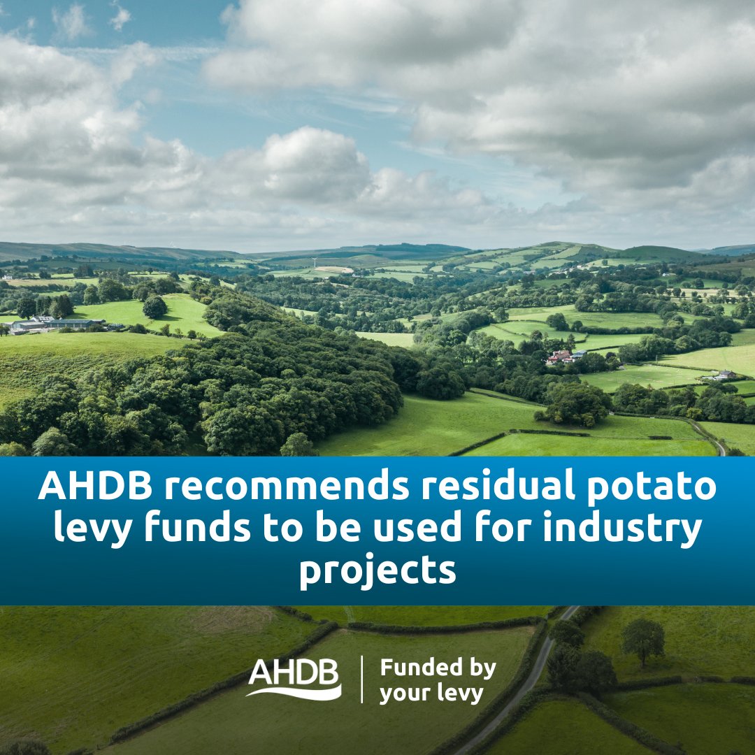 AHDB recommends redirecting leftover potato levy funds to support seven key industry initiatives, highlighting their significance pending Ministerial approval. 🔗Read more: ahdb.org.uk/news/ahdb-reco…