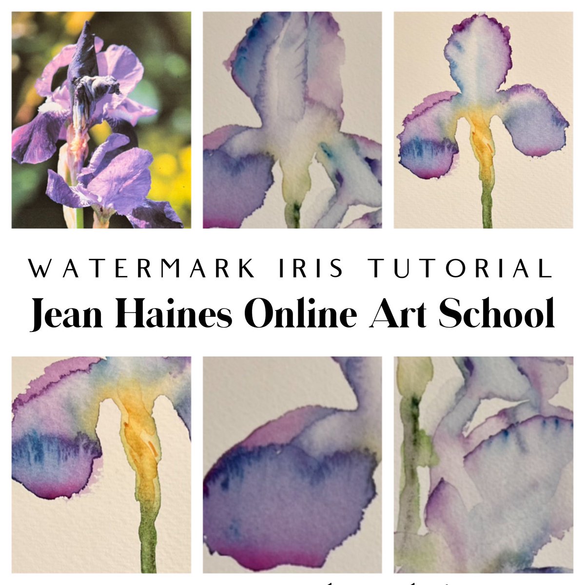 My latest online tutorial is possibly my favourite. Paint watermark Iris with me. Celebrating the beauty of painting in pure watercolour. watercolourinspiration.com #watercolour #watercolor #painting #jeanhainesonlineartschool