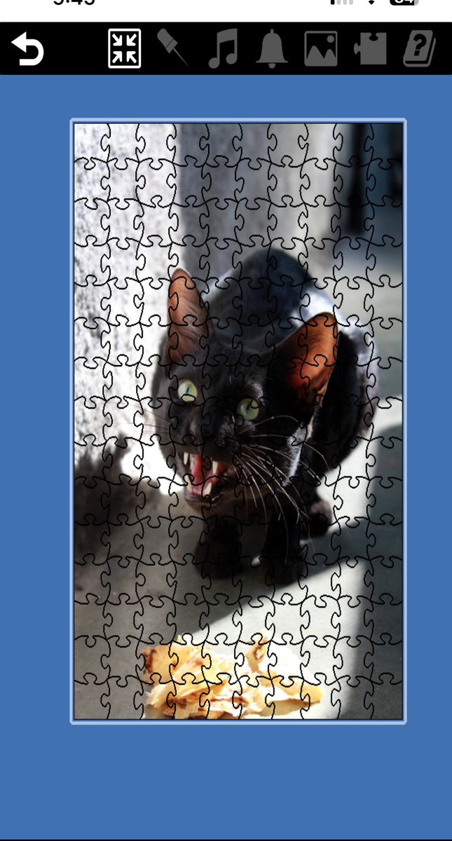 havnt done a cat puzzl ina whil,,, moar piecez jus 2 makee it more fun^w^
