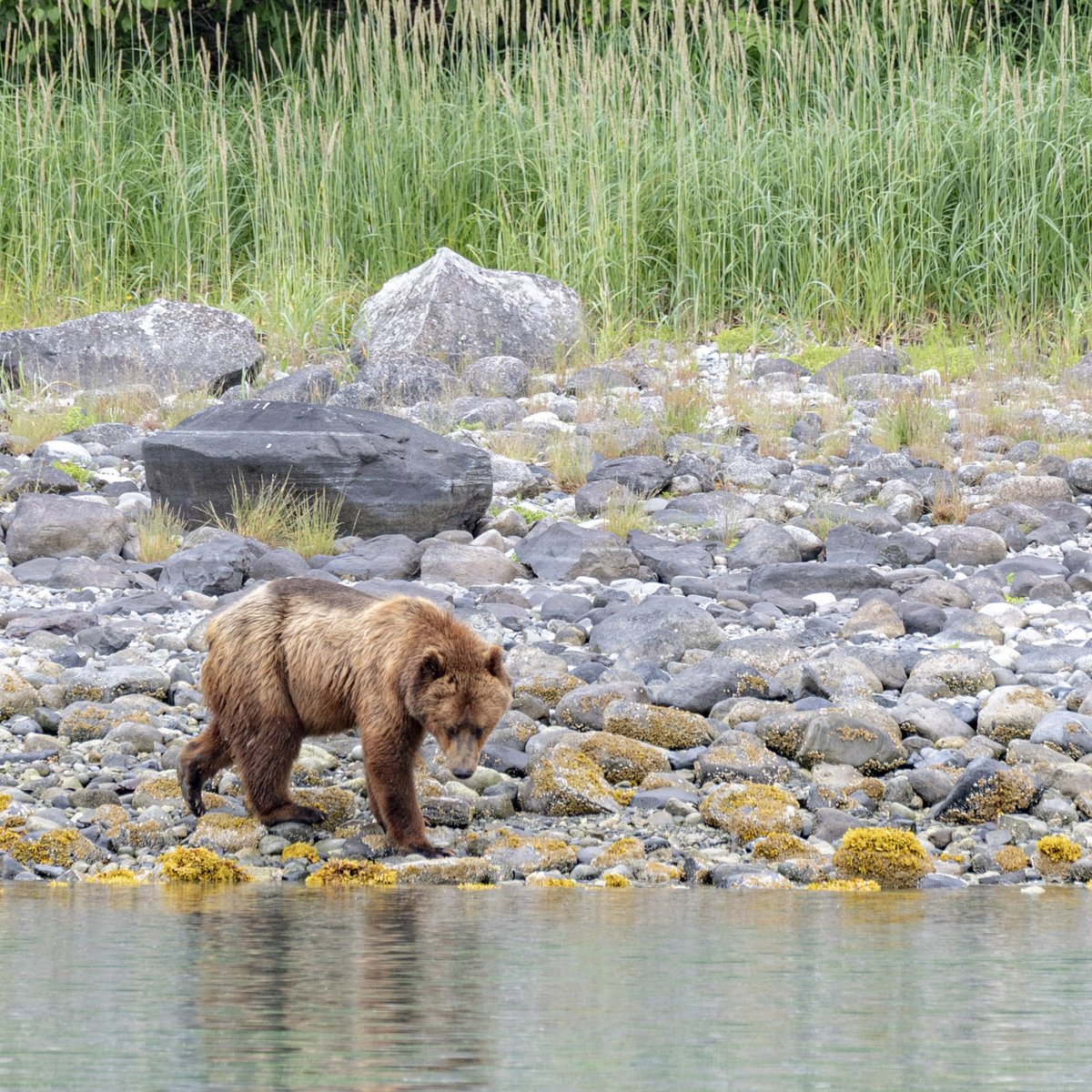 GlacierBayNPS tweet picture