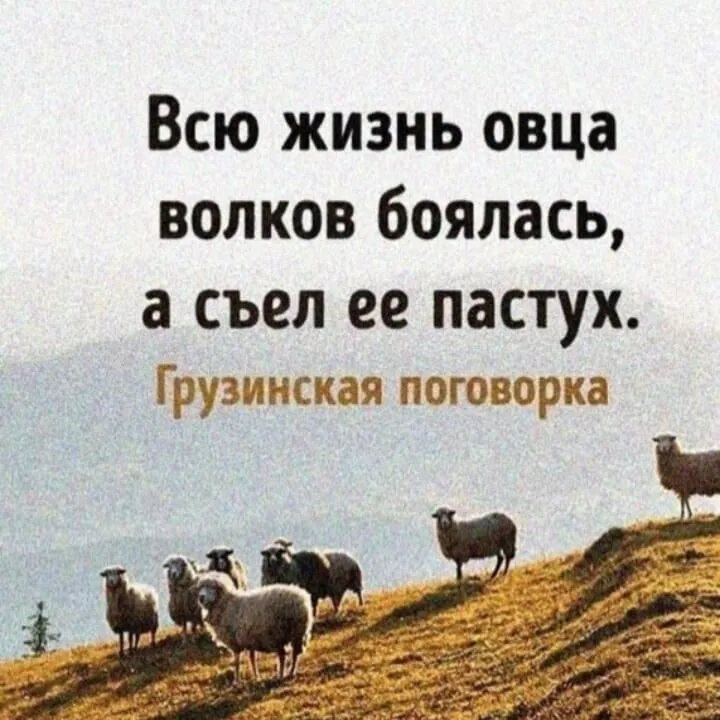 s_baskak's tweet photo. https://t.co/WEcxs4KcS0