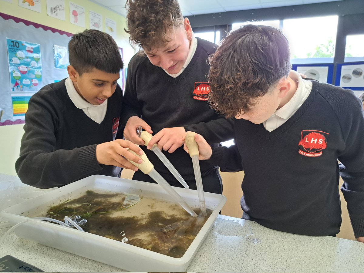 Today we took River School to Tilehurst, Reading & spent the day helping 150 Year 7 students at Little Heath discover what lives in their river, for #EarthDay2024 We hope Year 7 have been inspired by the impressive specimens of mayfly, caddis & shrimp they found. #chalkstream