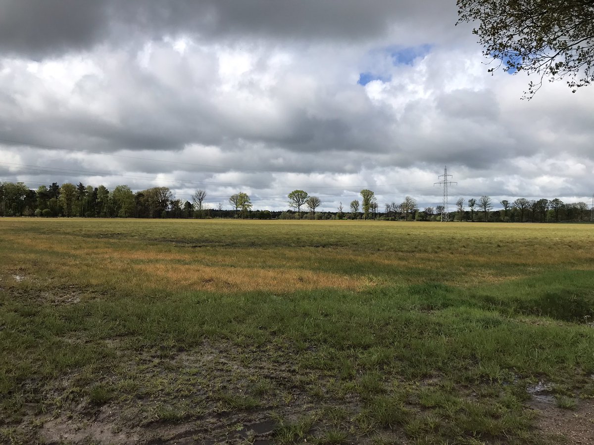 Groeten uit Salland. Het is barbaars. Sommige boeren hebben een hele dikke plaat voor hun kop, tientallen hectares platgespoten met #glyfosaat #roundup. Het drinkwater is vergeven van #pesticiden en men blijft maar spuiten. Alles van waarde is weerloos.