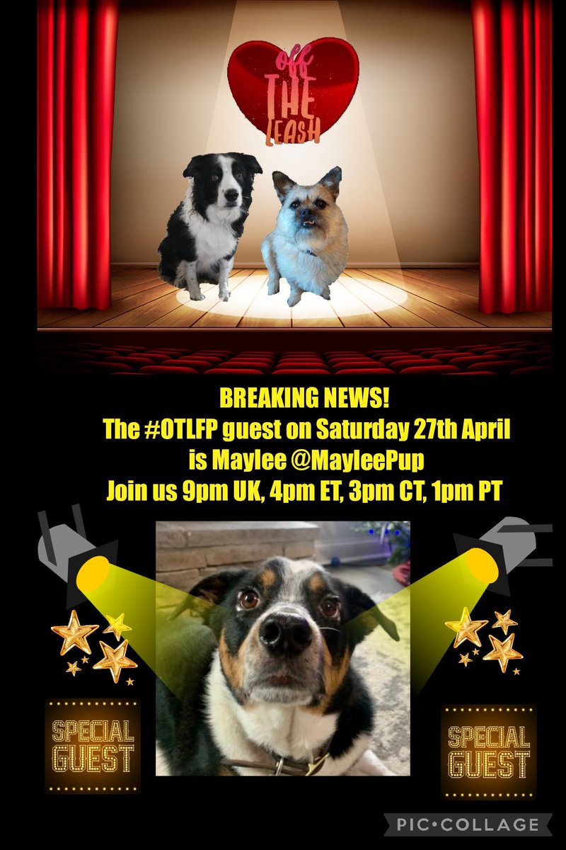 📌 Join us this Sat (April 27) for #OTLFP, a Twitter chat about #pets, by pets! Guest: Maylee @MayleePup Hosts: @Pixie_Tooth & @MillieOTLFP Starts 4pm ET, 3pm CT, 2pm MT, 1pm PT, 9pm UK All are welcome. Just search & follow #OTLFP!