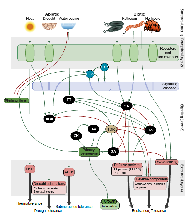 MPlantPCom's tweet photo. Stress Knowledge Map: A knowledge graph resource for systems biology analysis of plant stress responses #resource #PlantCommunications https://t.co/w2vL1ZjVFu https://t.co/YX7bHOeuA5