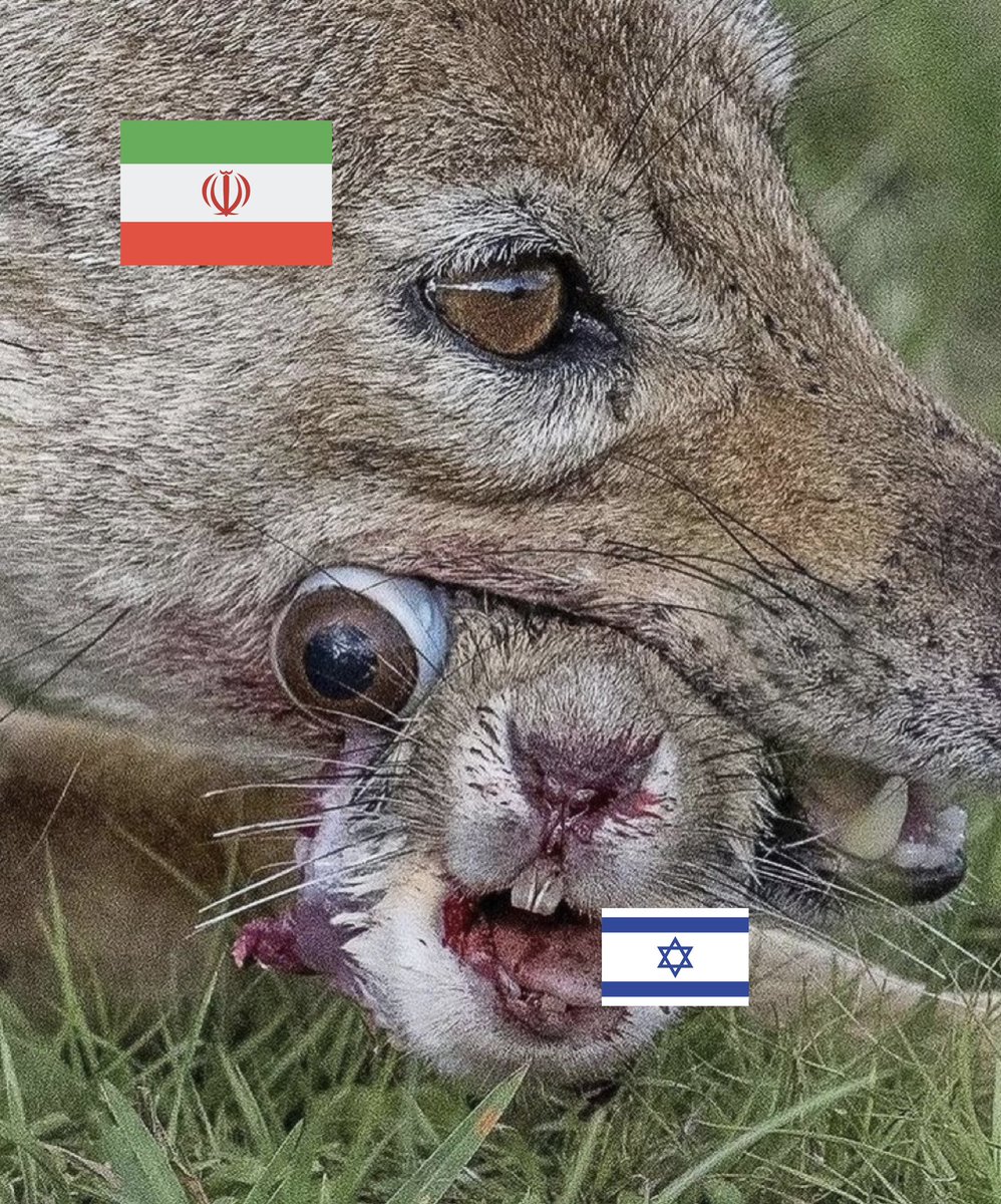 Jackson Hinkle 🇺🇸 (@jacksonhinklle) on Twitter photo 