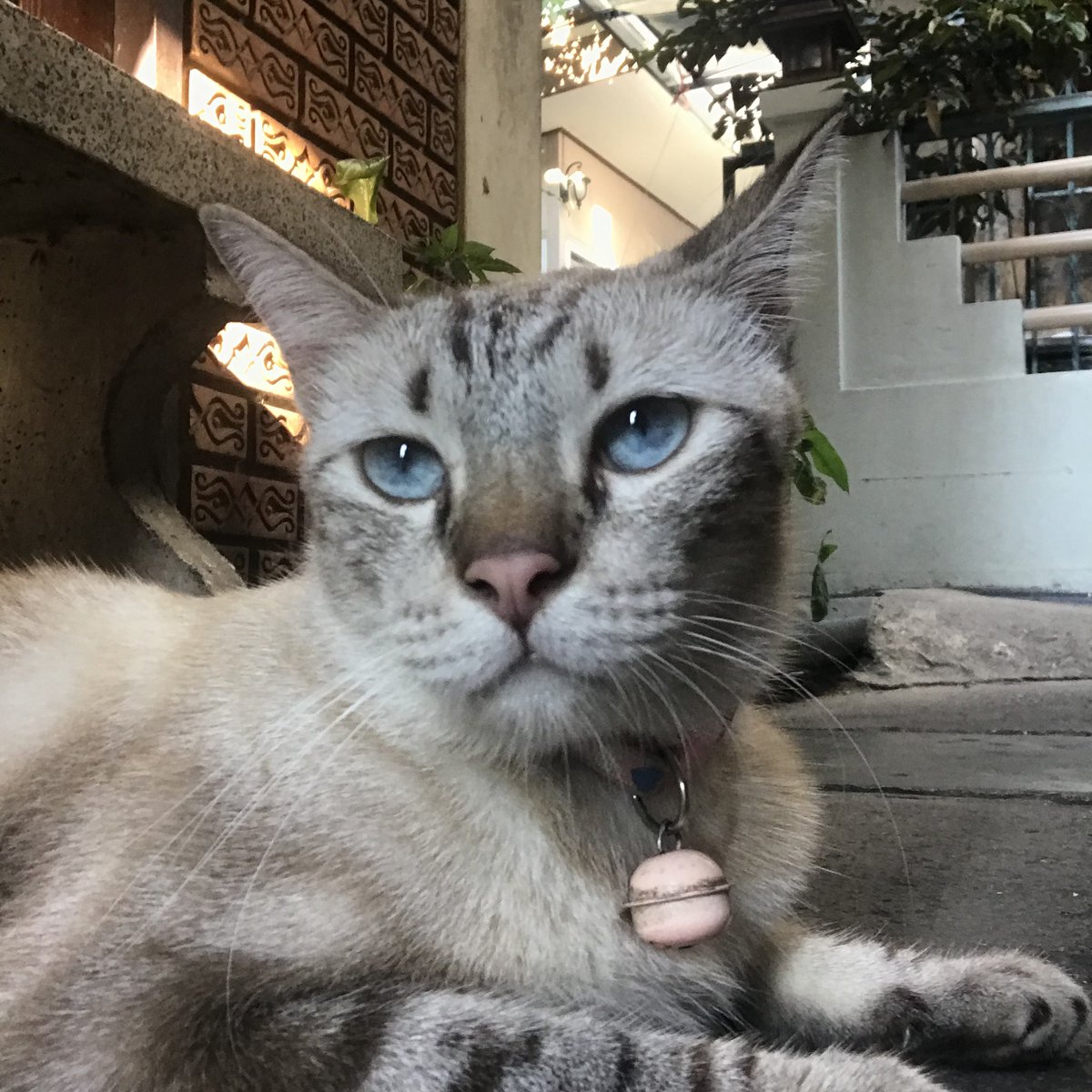 渐入 (@vanlounge7788) on Twitter photo 