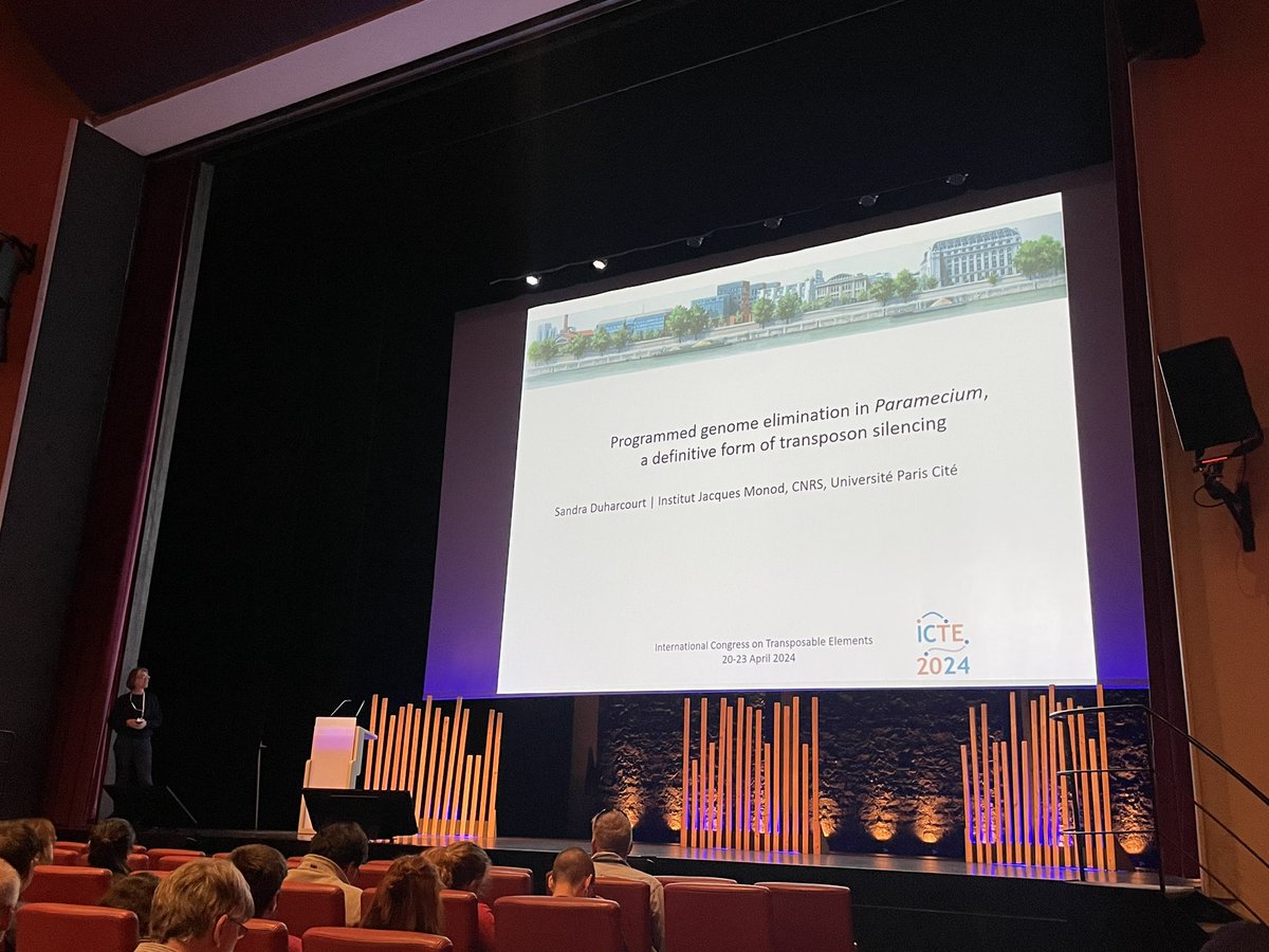 Cedric🧬➰🧬Feschotte (@cedricfeschotte) on Twitter photo Brilliant keynote by Sandra <a href="/DuharcourtLab/">DuharcourtLab</a> on the extraordinary epigenetic gymnastics of TE DNA elimination in ciliates. So much good science at #ICTE2024 it’s guaranteed to send me back home with no brain left 🤯🤯🤯 Brilliant keynote by Sandra <a href="/DuharcourtLab/">DuharcourtLab</a> on the extraordinary epigenetic gymnastics of TE DNA elimination in ciliates. So much good science at #ICTE2024 it’s guaranteed to send me back home with no brain left 🤯🤯🤯