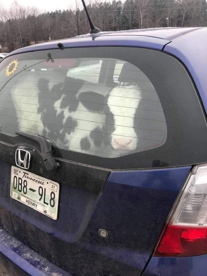 the AC is on and hes listening to his favorite podcast