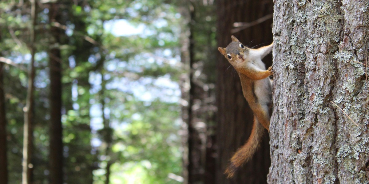 StopFitzhughCon's tweet image. 🌎🌱 Happy Earth Day! As we celebrate the beauty of our planet, be reminded of our commitment to protecting its precious ecosystems and wildlife habitats. Together, let’s raise our voices for conservation and preservation. 

#stopfitzhughconcertvenue #EarthDay #protectourplanet