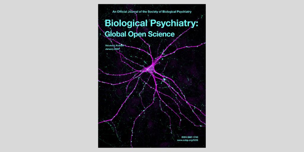 A New Paradigm to Investigate the #Neuroscience of Irritability in Youth spkl.io/601442bdQ #biologicalpsychiatry