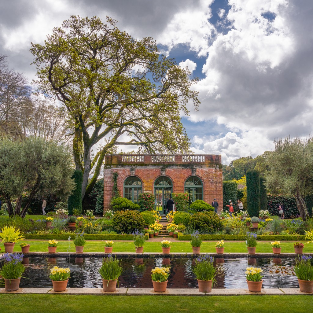 Filoli wishes you a Passover filled with peace, happiness, and time with your community. Photo by Albert Dros Instagram & Facebook: albertdrosphotography Twitter: albertdrosphoto