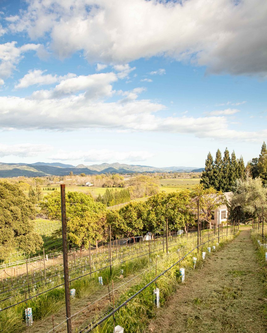 Happy #EarthDay to you 🍷 Like the natural springs coursing under our vineyards: the land returns the love you give it. That deep bond between land and family, first affirmed by our founder 50 years ago, is renewed in every bottle.