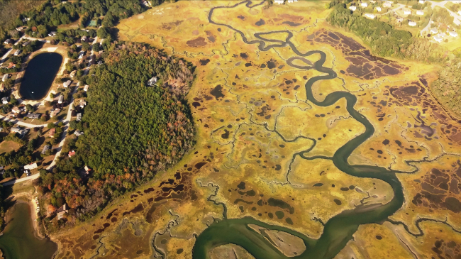 cleargeo_gis's tweet photo. From NOAA Climate: Biden-Harris Administration announces $123 million for coastal habitat restoration through Investing in America agenda   

Read more:https://t.co/oCkz23ISRM  

#ClimateAdaptation #ClimateResilience #ClimateActionPlan #ClimateMitigation #ClimateDataAnalysis ... https://t.co/cUHAqNgmuA