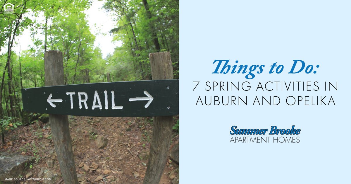 🌷 #Spring is in full swing in #AuburnOpelika!

☀️🥾 Take advantage of all the #outdooractivities this community has to offer, from hiking at Chewacla to playing a round of golf to fishing at the Lee County Public Fishing Lake. Read our blog for more! summerbrookeal.com/2024/04/things…