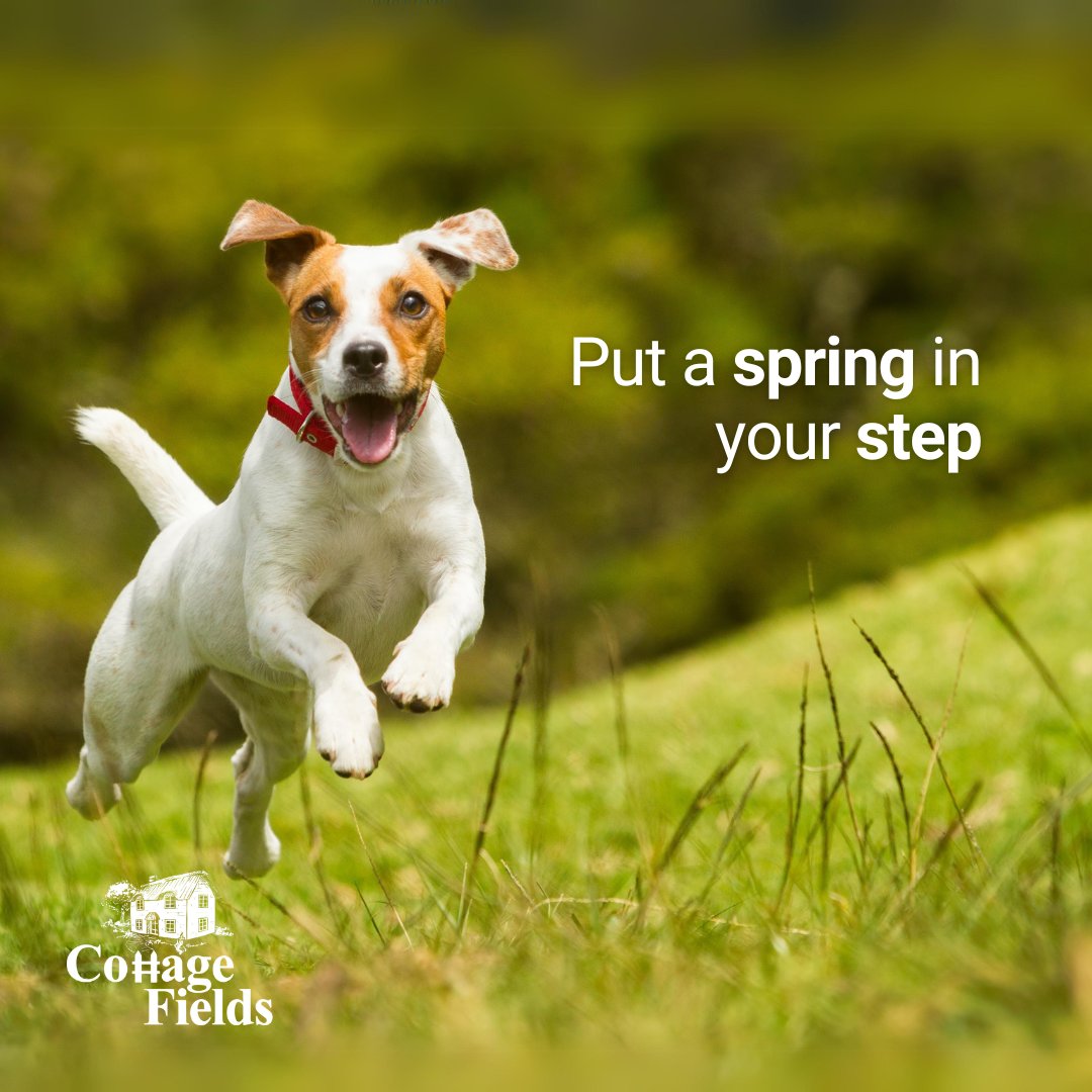 Cottage Fields tweet media