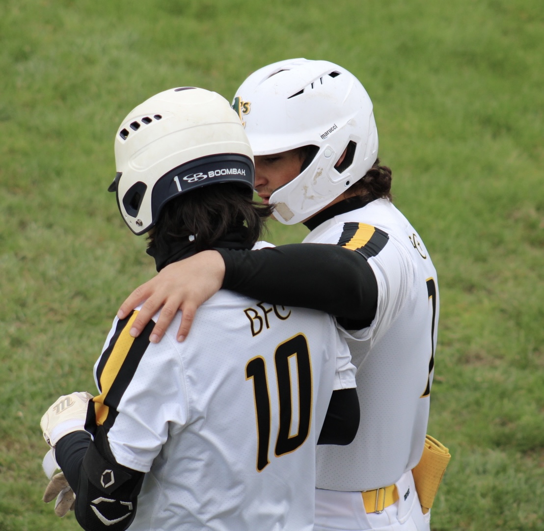 BFC Baseball tweet media