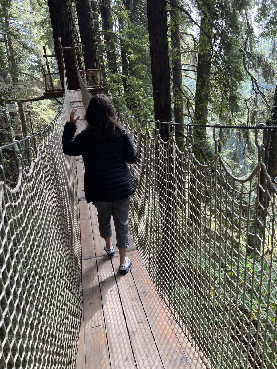 #Top4ForestsPics #FindYourPark - Sequoia / Kings Canyon NP - Redwood NP - Isle Royale NP - Trees of Mystery Canopy Walk - Klamath CA @LiveaMemory @obligatraveler @intheolivegrov1 @OdetteDunn @pipeaway_travel