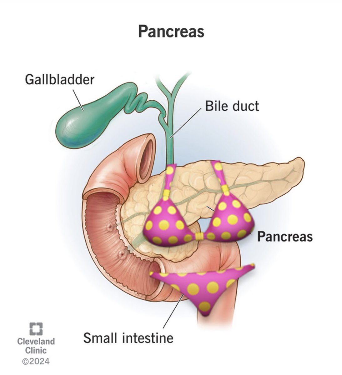 When I write pancreatits instead of pancreatitis