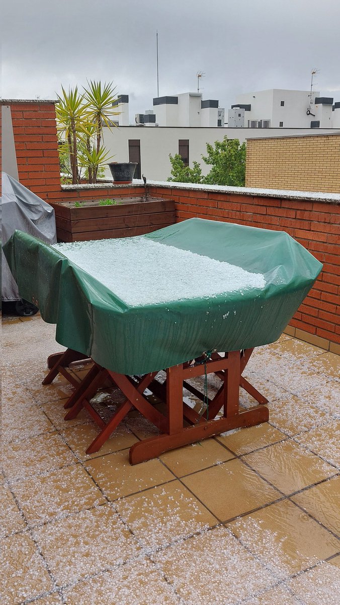 triskicat's tweet photo. Calamarsada a #Sabadell https://t.co/R2OTyh87IE