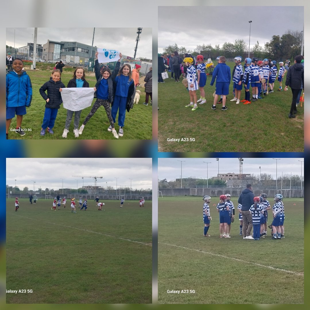 Our Lady of The Wayside tweet media