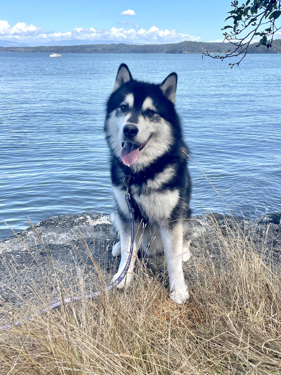 I love all the adventures I get to go on! Happy earth day! 🐾