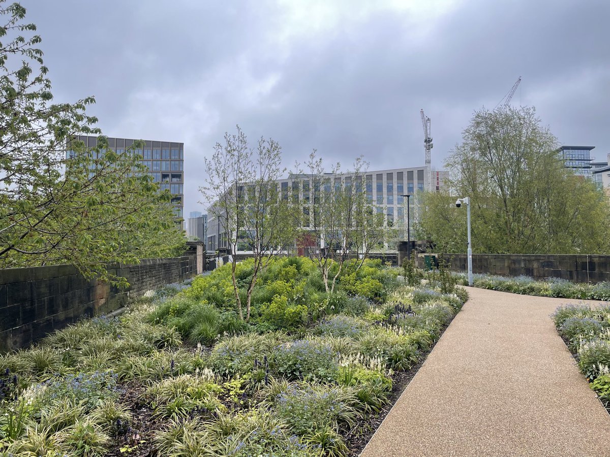 The park on the Monkbridge Viaduct is looking fabulous. #Leeds