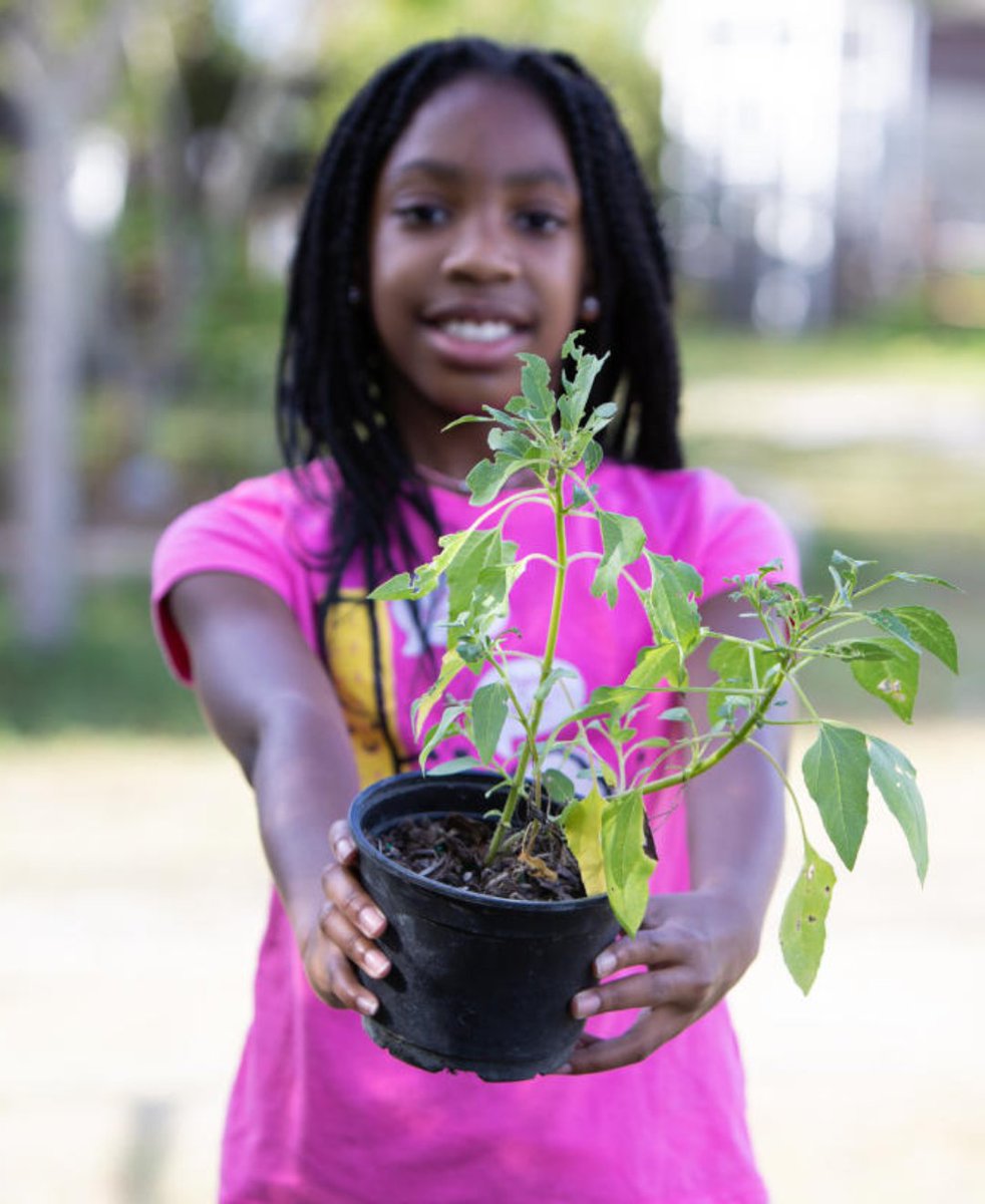 🌏@CoralSpringsFL Earthfest is happening this Saturday! Enjoy nature exhibits, plant giveaway for residents, animal encounters, and children’s activities. 🗓️ Saturday, April 27th ⌚ 9:00 AM to 12:00 PM 📍 @snc_wild 🎫 Free! bit.ly/43X7tWd #visitlauderdale #coralsprings