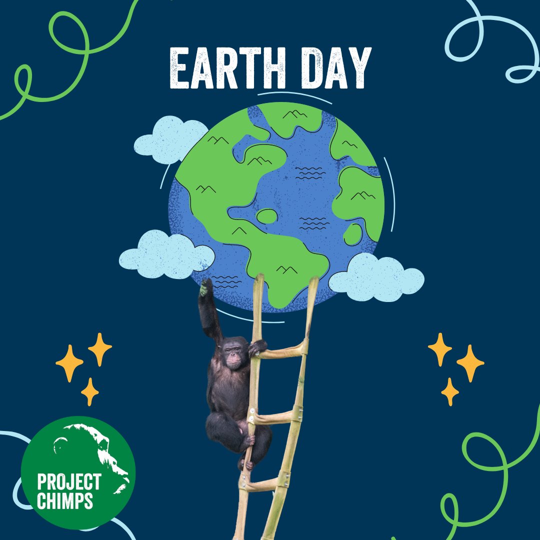 projectchimps's tweet photo. 🌍 🐵 Happy Earth Day! 🌿🌍
Let's cherish our Earth and all its inhabitants, including our chimpanzee friends at Project Chimps, on this special day! 💚
Please make a donation today:
https://t.co/380JZsyR9F
#EarthDay #ProjectChimps #Chimpanzees #ProtectOurPlanet https://t.co/CUAlydgDBX