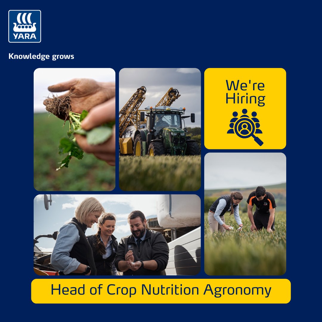 Join Yara UK to lead our Agronomy Team! Responsibilities: 🌱 Set the Strategy 🌾 Crop Nutrition Expertise ♻️ Sustainability Advocate 🌍 Industry Influence 🚀 Drive Innovation 📢 Marketing Collaboration 🌱 Product Development Apply now: jobs.yara.com/job/York-Head-…