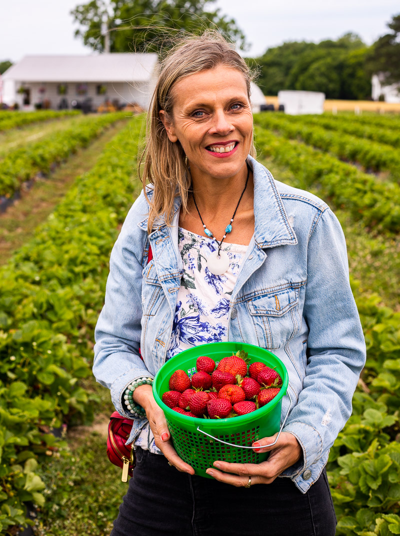 You know what time it is. Strawberry picking season. Here are 15 farms near Raleigh for pick-your-own strawberries: thisisraleigh.com/strawberry-pic… #raleighnc #wakecounty