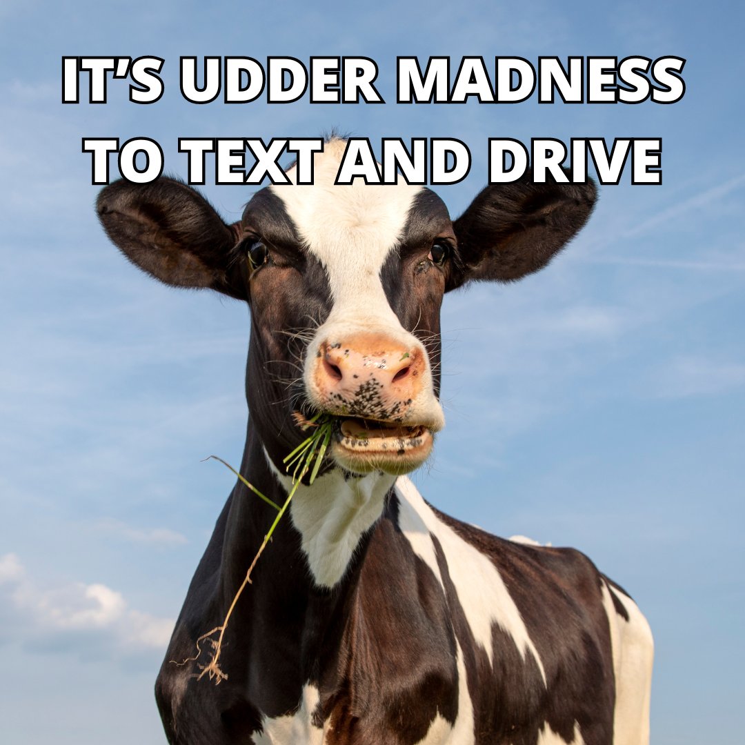It would behoof you to put the phone down and stay alert while driving on rural roads. There’s a lot to watch out for: construction, livestock, big trucks and lots of curvy stretches of road. #BeSafeDriveSmart #EndTheStreakTX