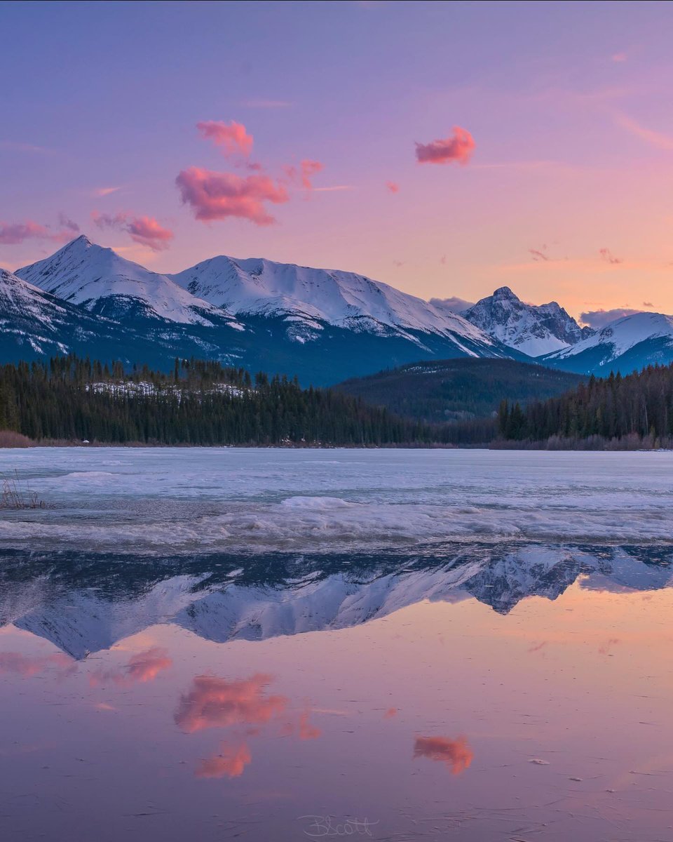 Happy Earth Day, Jasper! 🌍

From hiking mountain peaks, paddling on turquoise lakes, observing wildlife, and gazing up at starry skies. Jasper National Park is full of beauty that inspires us everyday.

Phot by: @rockymountainscrambler on IG 
#MyJasper | #VentureBeyond