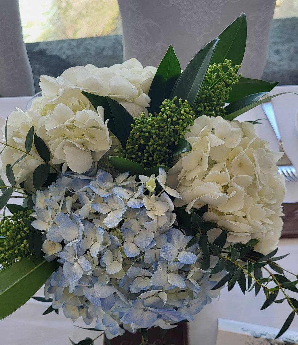 Lindakx947's tweet photo. LINDA'S THOUGHT OF THE DAY:
Everything blooms in its own time. 
#wordstoshare #wordstoremember https://t.co/GFwmhbkGph