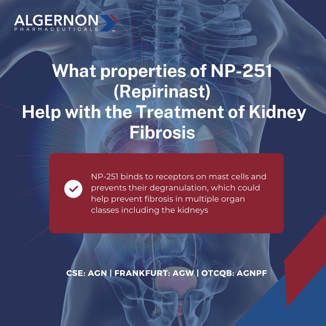 Chronic Kidney Disease (CKD) is when the kidneys are damaged or cannot filter blood as well as healthy kidneys, often due to fibrosis.

Here is how NP-251 (Repirinast) can help treat this disease ➡️ bit.ly/49x1ZTU