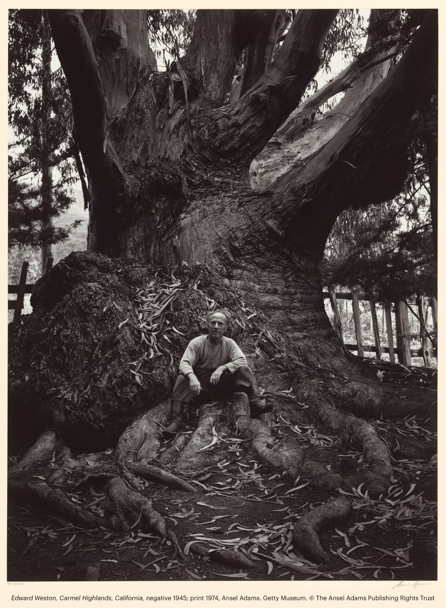 Seen here is Edward Weston: Adams's friend, collaborator, and fellow cofounder of Group f/64, a group founded by San Francisco Bay Area photographers who shared a love of sharp focus and careful framing. 📸 Edward Weston, Carmel Highlands, California, negative 1945; print 1974,