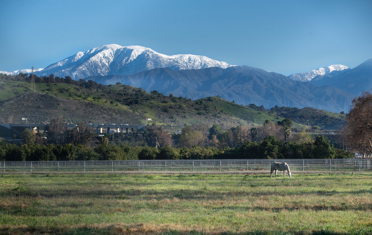 calpolypomona tweet picture