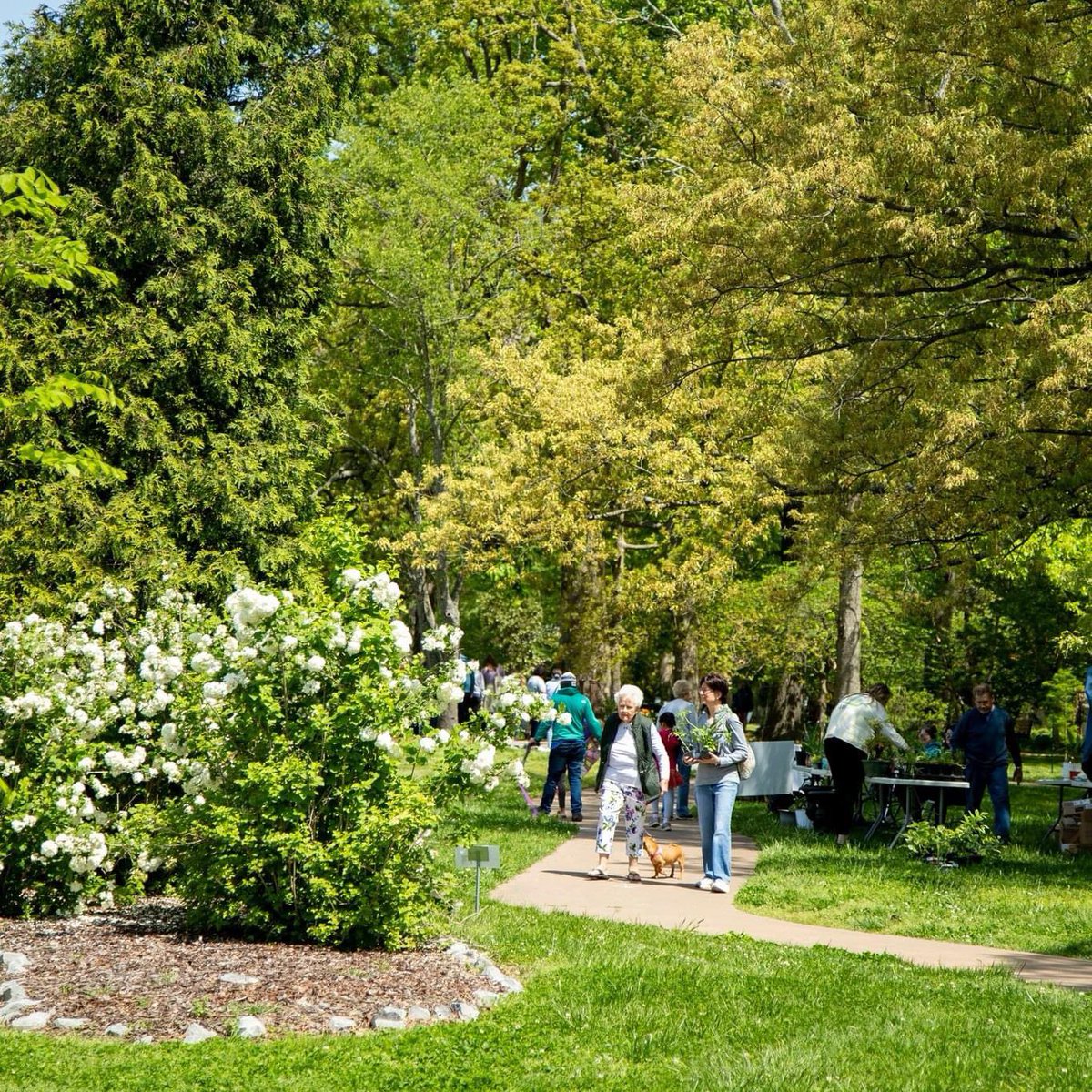 Happy Earth Day!🌎

Today we celebrate the beauty in nature, soaking it up within serene greenspaces in and around the MKY!☀️🌳 How are you spending Earth Day?

📸: Jeremy McKeel 
📍The Doran Arboretum 

#EarthDay2024 #HappyEarthDay #MurrayKY #MurrayKentucky