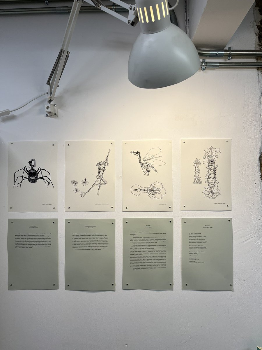 Las escritoras <a href="/FlorBraier/">Flor Braier</a> y Fernanda García Lao junto a la exposición “Mirades extraterrestres”, en la librería La Insòlita, fruto de la colaboración de los alumnos de <a href="/bau_bcn/">BAU, Centre Universitari d'Arts i Disseny</a> y del Máster en Creación Literaria <a href="/bsm_upf/">UPF-BSM</a> Mañana estaremos en <a href="/Trampaediciones/">Trampa ediciones</a> de 11 a 13 hs. 🍹