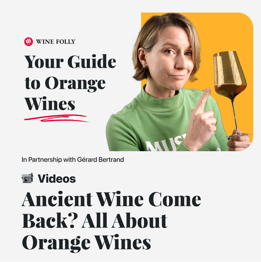 Are you ready to dive into the quirky world of orange wine? Join us on this adventure, featuring wine from Gerard Bertrand who are based in the beautiful south of France! 🌞 Watch the whole episode → loom.ly/ruPQyzM #wineeducation #winelover #orangewine