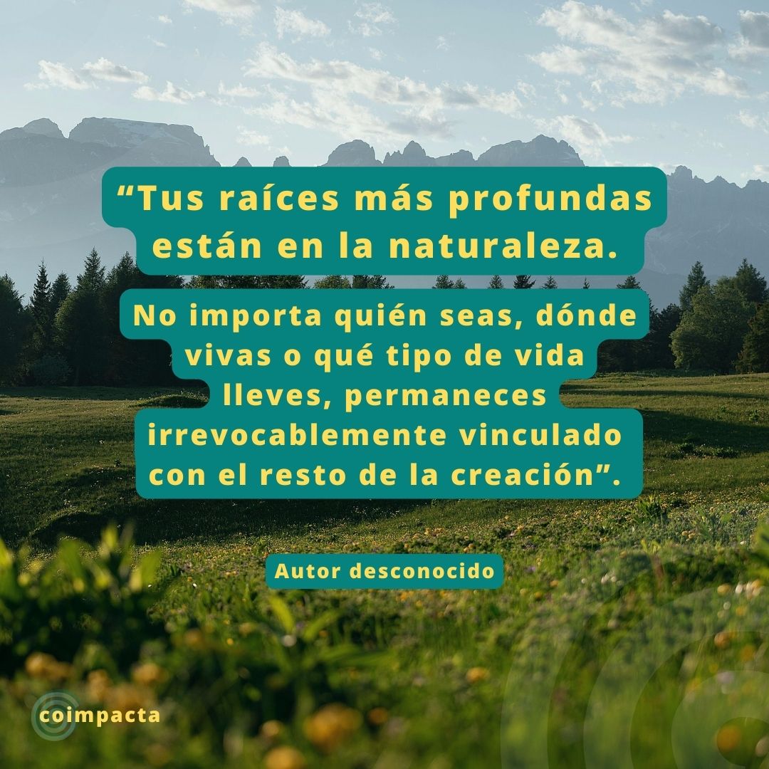 coimpacta tweet media