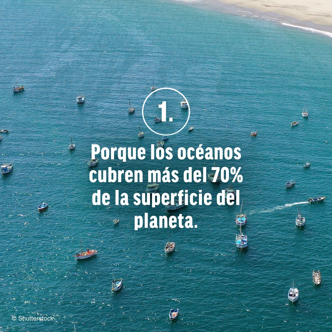 Oceana_Peru tweet picture