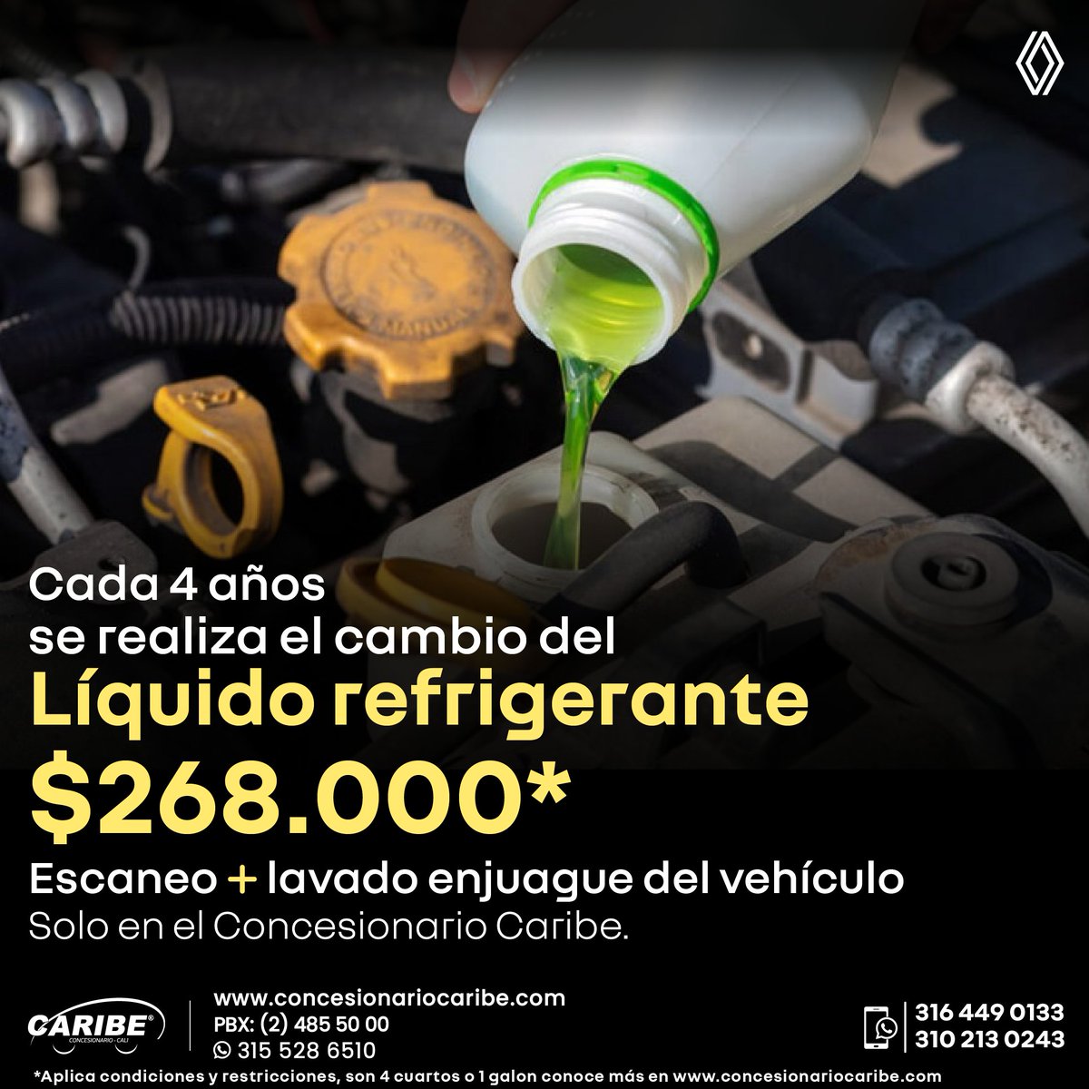 CaribeRenault tweet picture