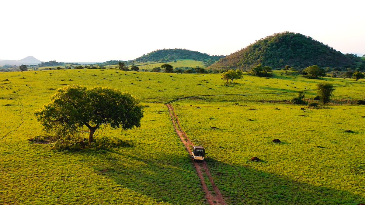 To what nurtures and sustains us. Happy #EarthDay 🌍 📍 Kidepo 🌍 UGANDA