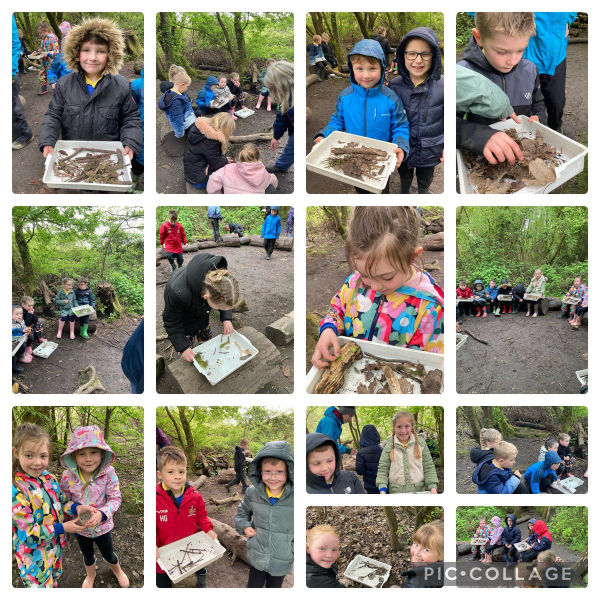 Mrs Maguire @TaniaWebb8 @cwmffrwdoer @RSPBNewport We had such a fantastic trip to Newport Wetlands today and the children really enjoyed the pond dipping and minibeast hunting 🪳🪲🦆🪶🌎🌿