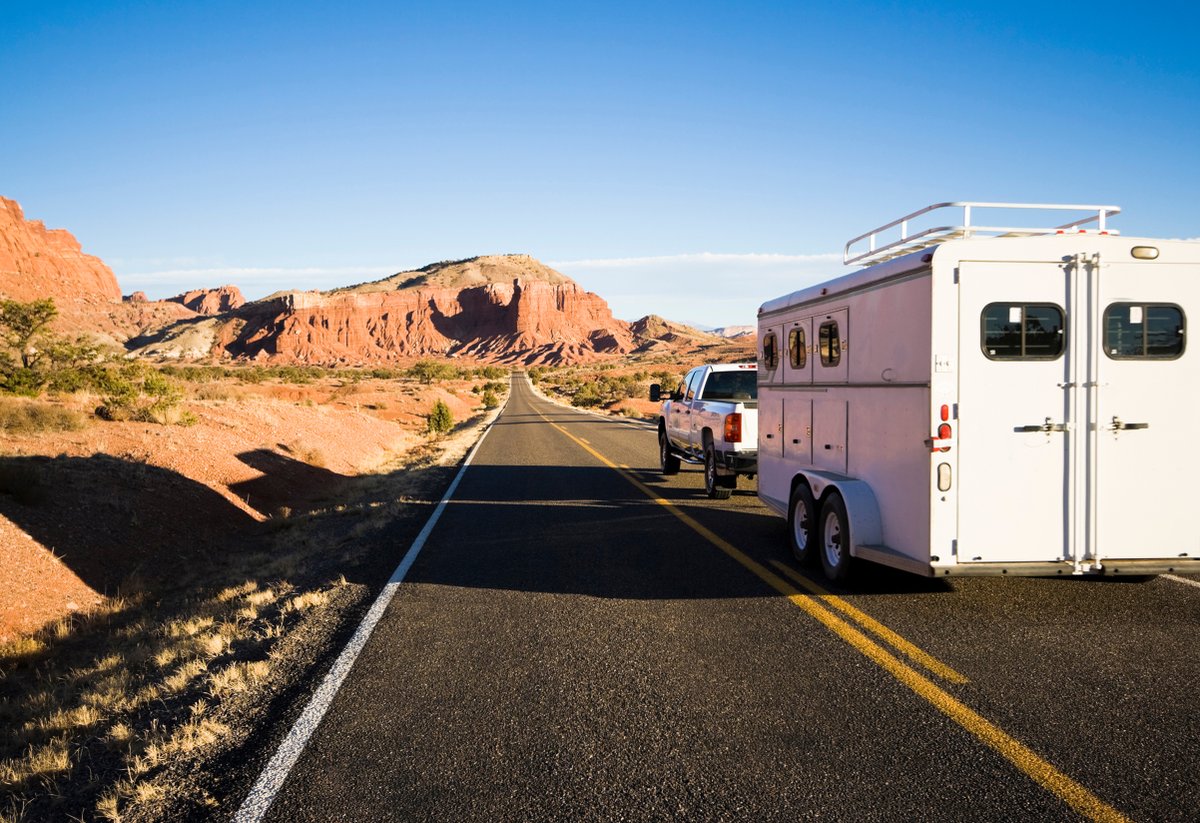 Happy Earth Day! 🌎 

#gooutside #trailerparts #horsetrailer #campingtrailer #getoutsideandplay #centrevilletrailer #motherearth